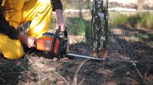 Best Weed Control  in Port Morris, NJ