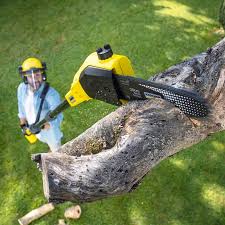 Best Lawn Renovation and Restoration  in Port Morris, NJ